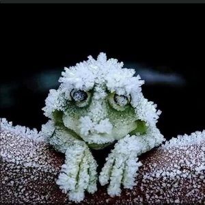 Meet your Posher, Ben